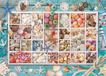 Puzzle 1000 pièces - Collection de Coquillages - Eurographics