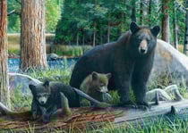 Puzzle 1000 pièces Ours et bébés - Eurographics