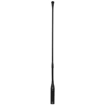 CGN 99 H/L AKG
