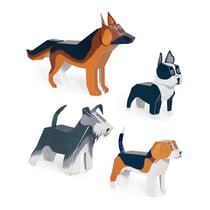CHIENS