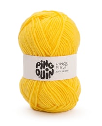 Pingo First
