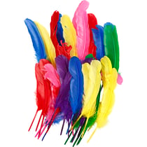 Plumes, L : 20 cm, ass. de couleurs, 36 pièces/ 1 Pq.