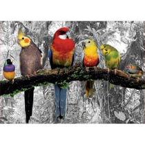 Puzzle perroquets dans la jungle 500 pieces - collection oiseaux - educa - 17984