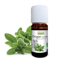 Origan compact BIO - Huile essentielle