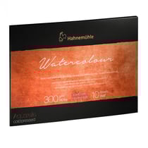Bloc aquarelle Watercolour 300g/m2 10feuilles grain fin 30x40cm - Hahnemühle
