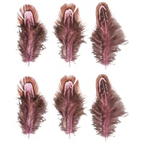 Plumes, rose oeillet / brun, 5 - 10cm, 6 pces
