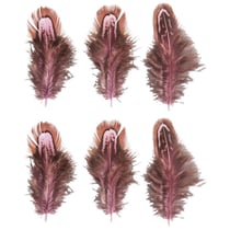 Plumes, rose oeillet / brun, 5 - 10cm, 6 pces