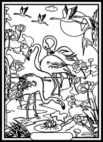 Tableau velours a colorier flamant rose Sericolor
