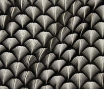 Tissu Jacquard d'habillement Éventails gaufrés blanc sur fond Noir