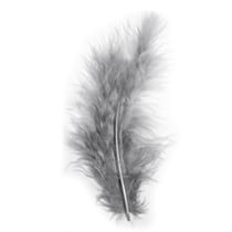 Plumes de décoration, gris, 8 cm,