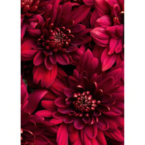 Tableau sur toile fleurs vives 45x65 cm