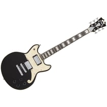 Premier Brighton Blake Flake D'Angelico