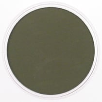 PANPASTEL 9ml Bright Yellow Green Extra Dark