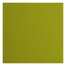 Papier cartonné Florence - 20 feuilles - Fern - 30,5 x 30,5 cm - 216 g/m²