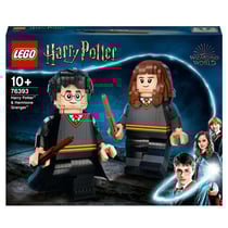 LEGO Harry Potter - Harry potter et hermione granger 76393