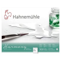 Bloc aquarelle Harmony 300g/m2 12feuilles grain satiné 24x30cm - Hahnemühle