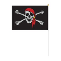 Drapeau pirate 30 x 45cm