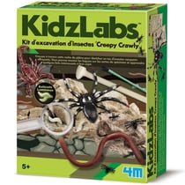 Kit DAM Excavation d'insectes