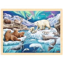 Puzzle Nuit polaire - Goki