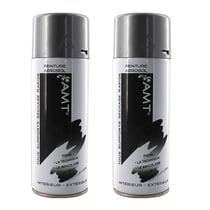 Lot de 2 sprays de peinture - argent métallisé - AMT