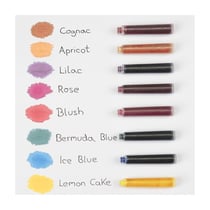 Schneider Ink Cartridges 6602 Red 6-Pack
