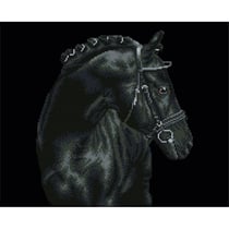 Cheval noir