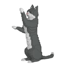 Chat Tuxedo gris debout | JEKCA | 14 ans et +