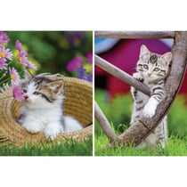 2 puzzles les chatons a la campagne 500 pieces - chat - collection animal - ravensburger - 172696