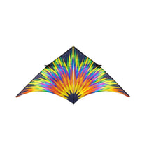 Cerf-volant Delta feux d'artifice 4m