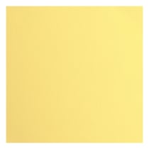 Papier cartonné texturé Florence - Asparagus - 20 feuilles - 30,5 x 30,5 cm - 216 g/m²
