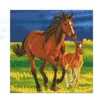 CRYSTAL ART Kit tableau broderie diamant 30x30cm Premiers Galops