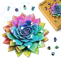 Puzzle 2D en Bois Adulte - Plante succulente arc-en-ciel