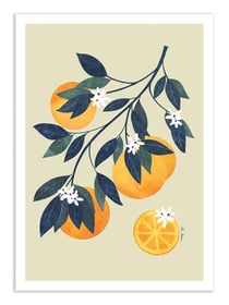 Affiche 30 x 40 cm - Orange tree branch - El Buen Limon