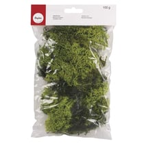 Mousse d'Islande, vert clair, 100 g