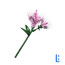 Fleurs de rhododendron