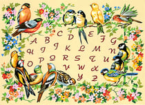 Canevas antique L'alphabet des oiseaux 45x60cm