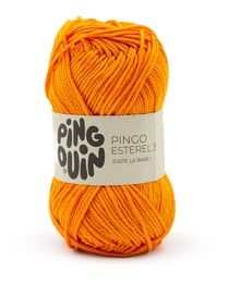 Pingo Esterel 3