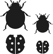 Matrices de découpe coccinelles - Artemio