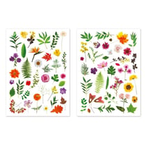 MégaCréa DIY - Stickers herbier 1,2 à 6 cm 73 pièces