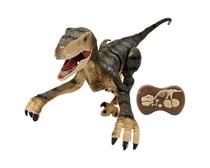 Vélociraptor Radioguidé - Lexibook