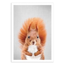 Affiche 30x40 cm - Squirrel - Gal Design