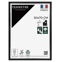Cadre photo Pandore noir argent 50x70 cm
