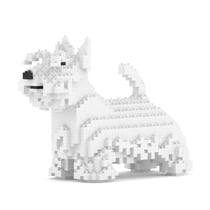 Chien Terrier Ecossais blanc Taille standard | JEKCA | 14 ans et +