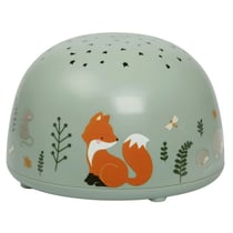 Veilleuse projecteur d'étoiles