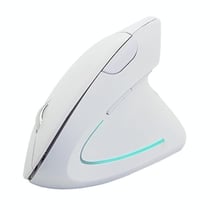 Souris Ergonomique Sans Fil 2.4GHz 5 Boutons DPI Réglable Noire Blanc YONIS