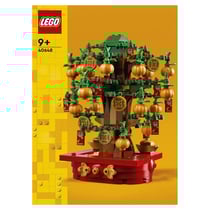 40678 Le calendrier des fêtes ® Iconic