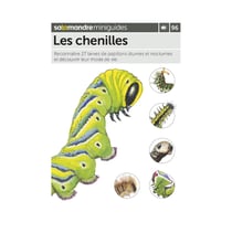 Miniguide 96 - Les chenilles