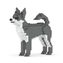 Chien Chihuahua gris Taille standard | JEKCA | 14 ans et +