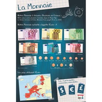 Poster pédagogique - J'apprends la monnaie, l'euro - 52x76cm - A afficher - Bouchut