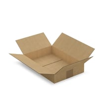 Carton d'emballage 31 x 21.5 x 5.5  cm - Simple cannelure